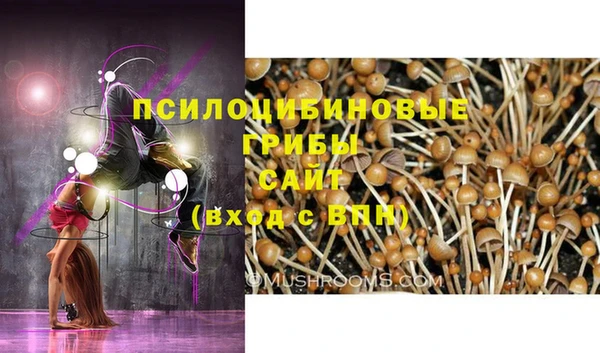 бошки Володарск