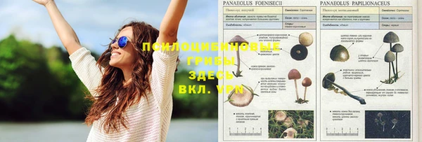 бошки Володарск