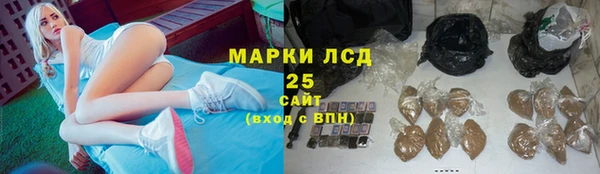 PSILOCYBIN Волоколамск